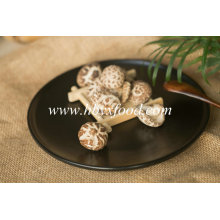 Healthy Food 3-4cm Thin Tea Flower Mushroom